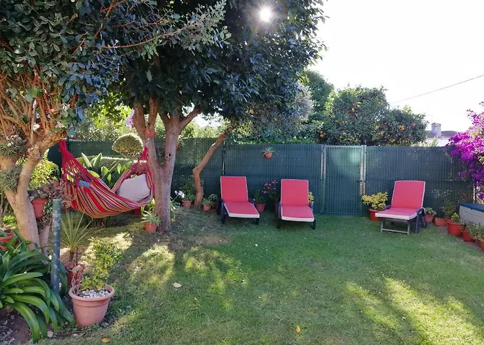 Casajardin Rokekris * Vigo