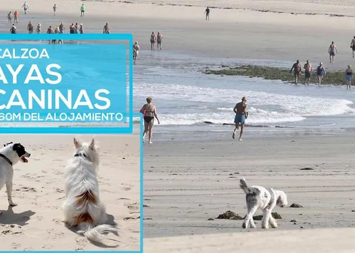 Casajardin Rokekris Vigo